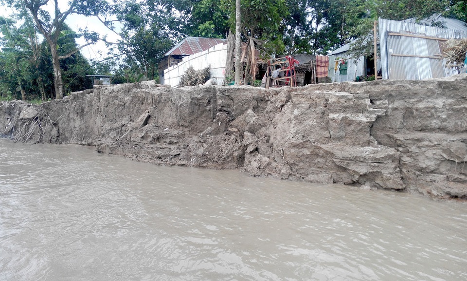 কুড়িগ্রামে তিস্তার ভাঙনে গৃহহীন কয়েকশ পরিবার