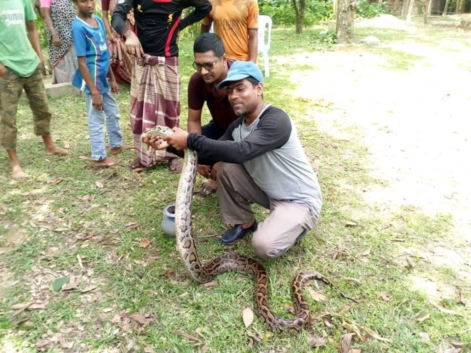 মুরগি খেতে এসে গণপিটুনিতে আহত অজগর