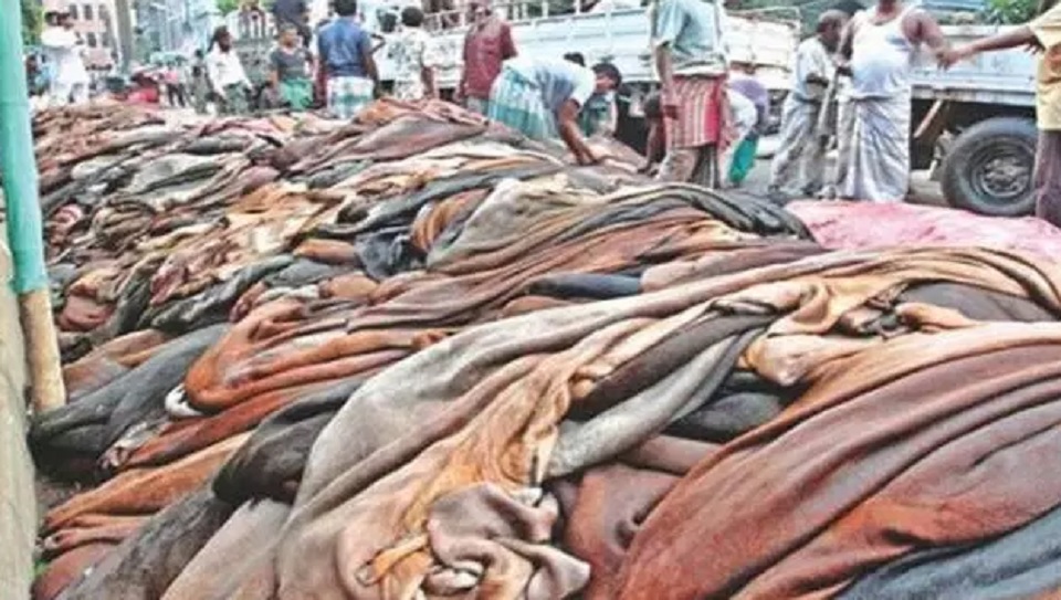 দেড় দশকের মধ্যে সর্বোচ্চ দরপতন চামড়া বাজারে