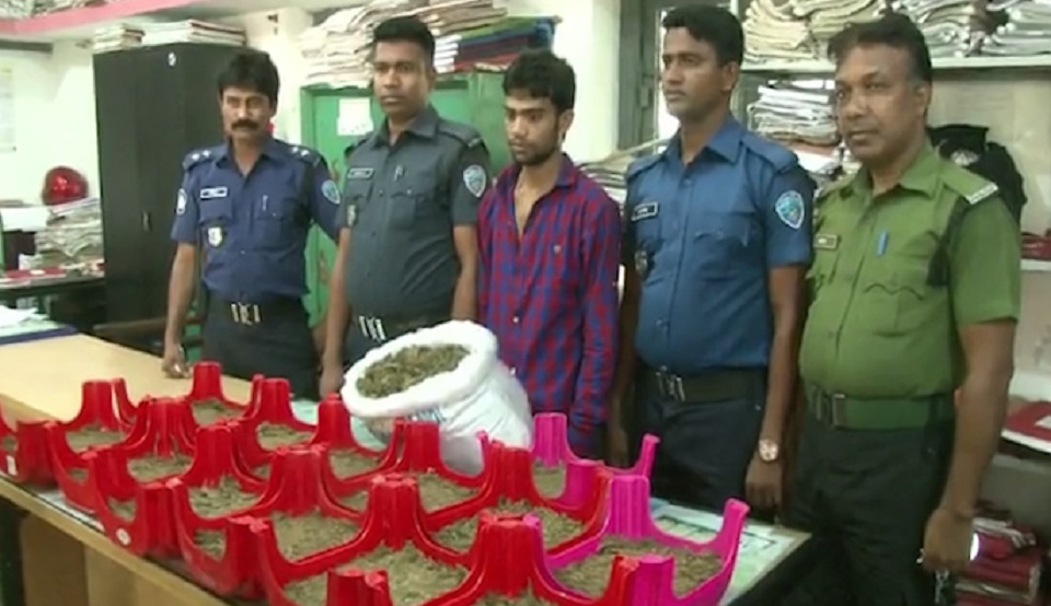 ধরাছোয়ার বাইরে মাদকের মূল হোতারা, আতঙ্কে স্থানীয়রা