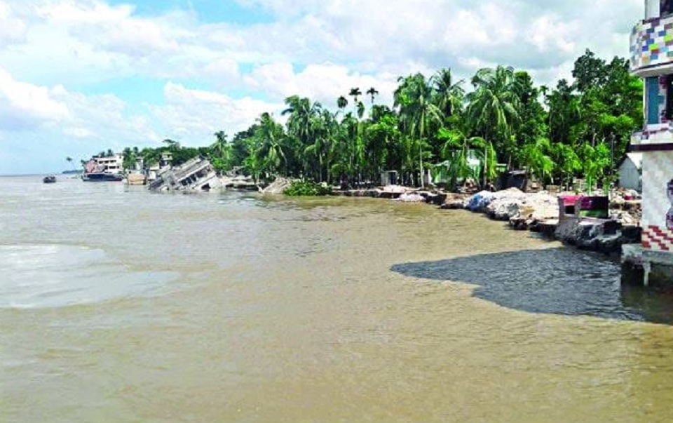 পদ্মায় পানি বাড়ায় নড়িয়ায় ভাঙনের তীব্রতা বেড়েছে