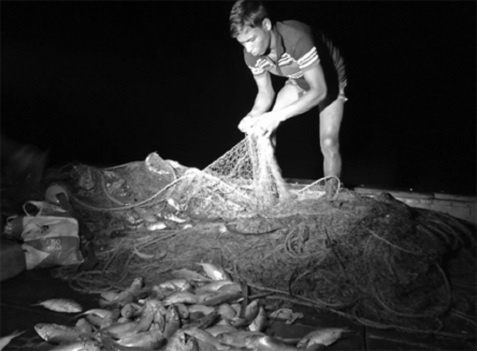 নিষেধাজ্ঞা অমান্য করে ইলিশ শিকার, আটক ৭৪