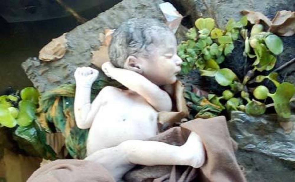 বাজারের ব্যাগে নবজাতকের লাশ!