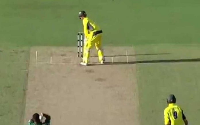 অস্ট্রেলিয়ার প্রাক্তন অধিনায়কের এ কেমন ব্যাটিং স্টান্স!