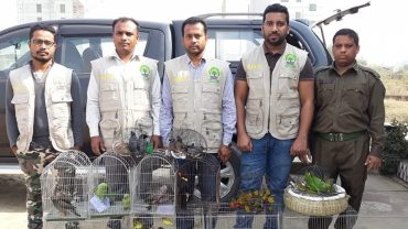 টঙ্গীতে বিভিন্ন প্রজাতির ১৬৫টি পাখি জব্দ