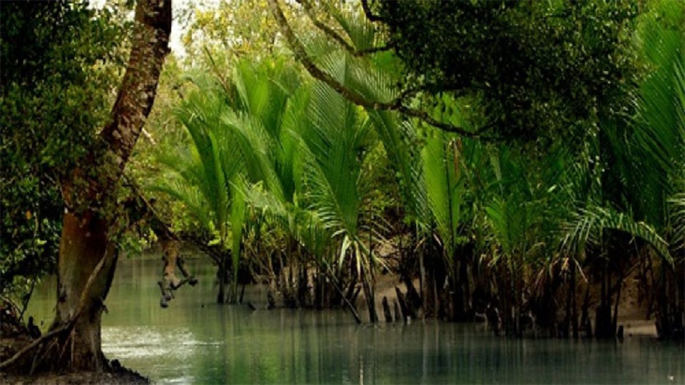 সুন্দরবনে র্যাবের সঙ্গে ‘বন্দুকযুদ্ধে’ ৪ জলদস্যু নিহত