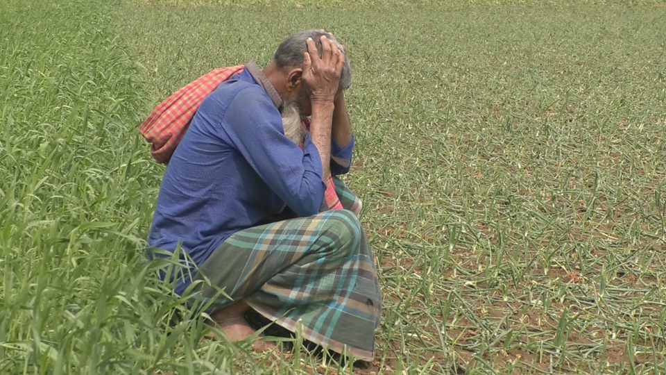 শিলাবৃষ্টিতে কুষ্টিয়ায় অর্ধশতাধিক গ্রামে ফসলের ব্যাপক ক্ষয়ক্ষতি