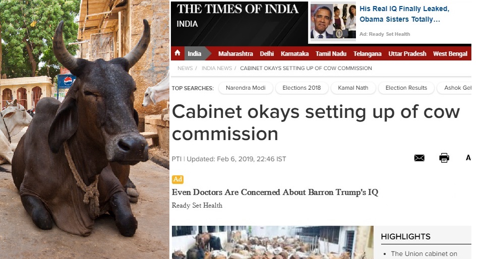 ‘গরু কমিশন’ গঠনের প্রস্তাব ভারতের মন্ত্রিসভায় অনুমোদন