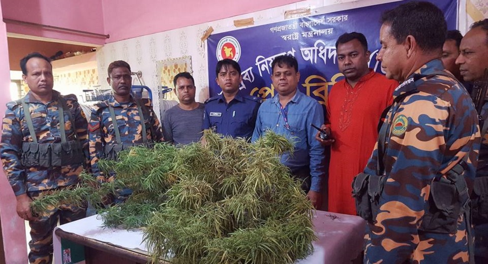 শখ করে বাড়ির উঠানে গাঁজা চাষ, অতঃপর…