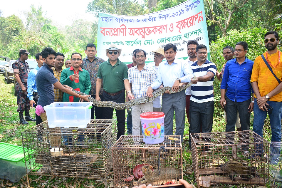 স্বাধীনতা দিবসে মুক্ত হলো বিপন্ন বন্যপ্রাণি