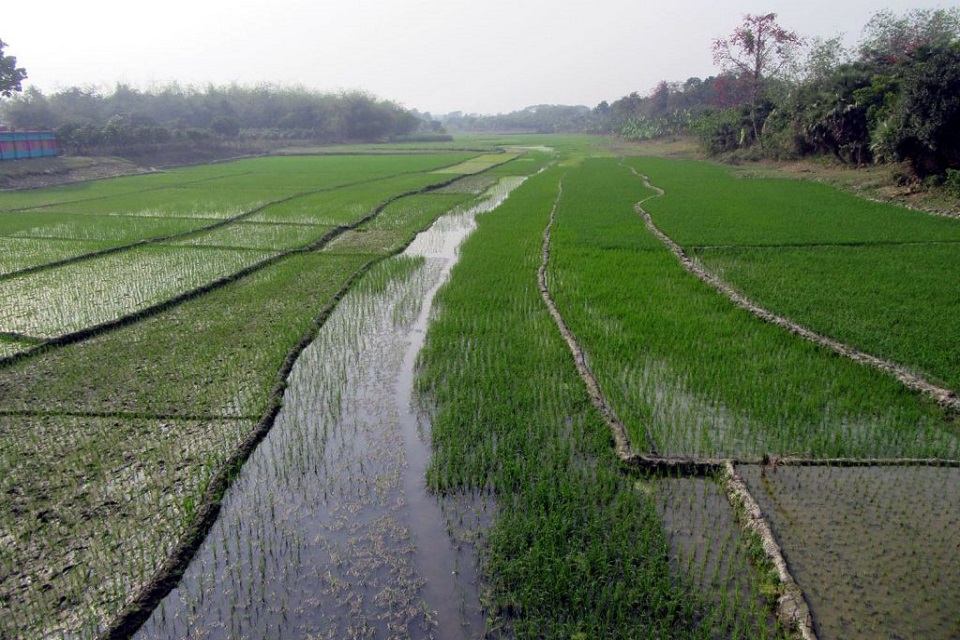 ঝিনাইদহে মৃতপ্রায় ১৫টি নদী, পদক্ষেপহীন প্রশাসন