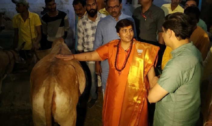 গোমূত্র পানে আমার স্তন ক্যান্সার সেরেছে: বিজেপি নেত্রী