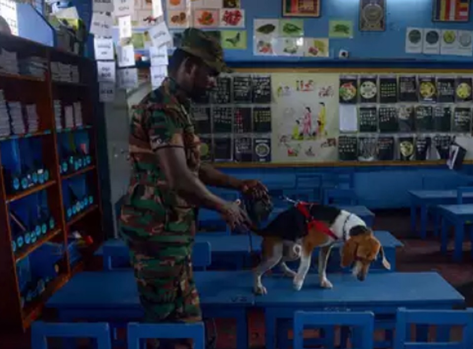 শ্রীলঙ্কায় বোমা বিস্ফোরণের দু’সপ্তাহ পর পূণরায় চালু হচ্ছে স্কুল