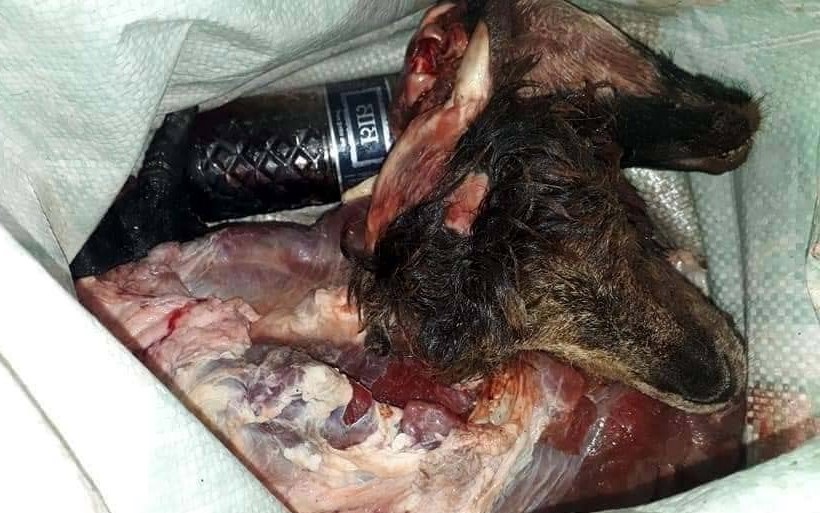 মাংসের দোকানে ভয়ঙ্কর চিত্র!