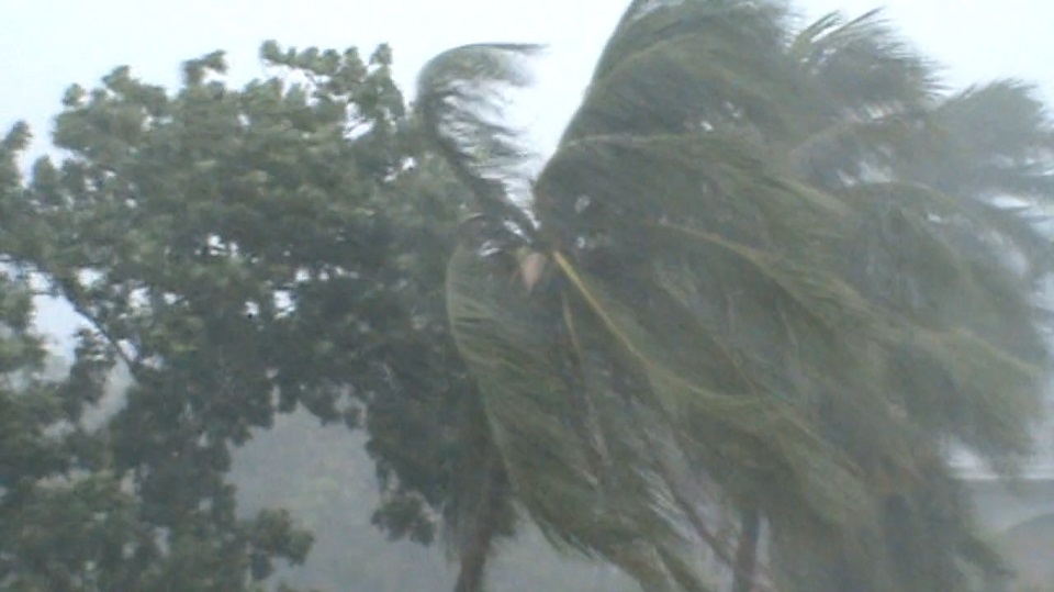 ফণি: বাগেরহাটে গাছের ডাল ভেঙে নারী নিহত