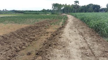 ঝিনাইদহে ফসলি জমি নষ্ট করে প্রভাবশালীদের রাস্তা!