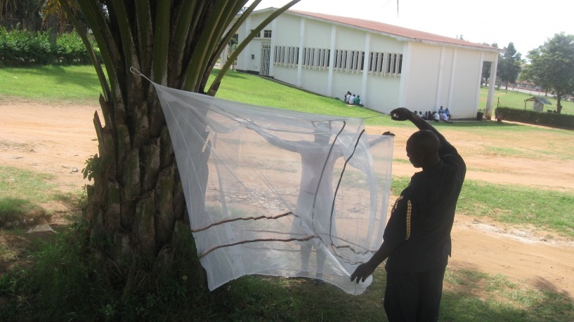 উগান্ডায় ম্যালেরিয়ার প্রকোপ, মশারির ভেতর ঢুকার পরামর্শ