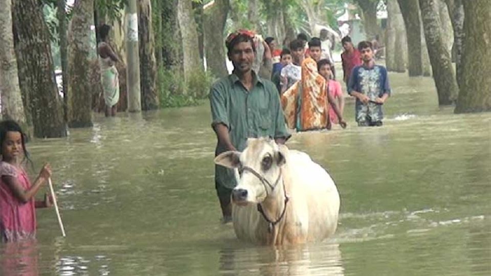 বন্যায় নিহত ১০৪