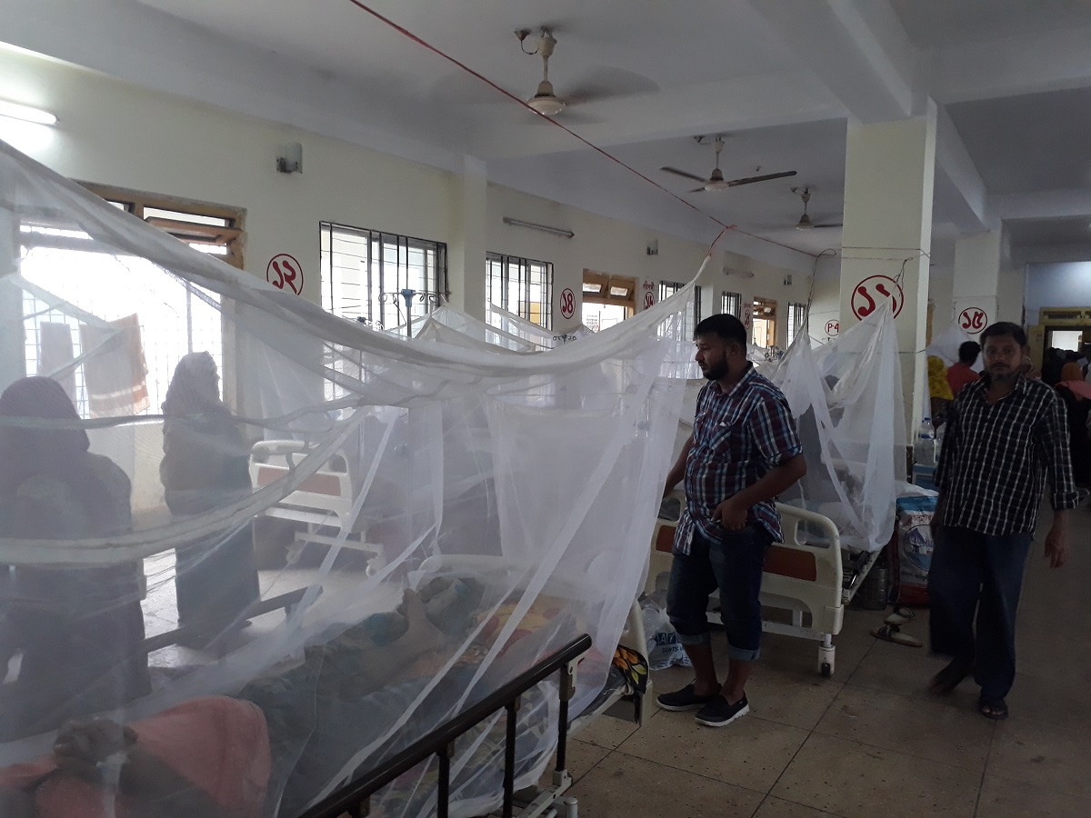 ফেনীতে নতুন ডেঙ্গুরোগী ১১ জন, চিকিৎসাধীন ৩৯