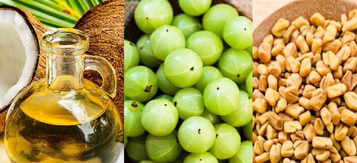 অসময়ে কালো চুল সাদা হওয়া বন্ধ করবে যে ফল