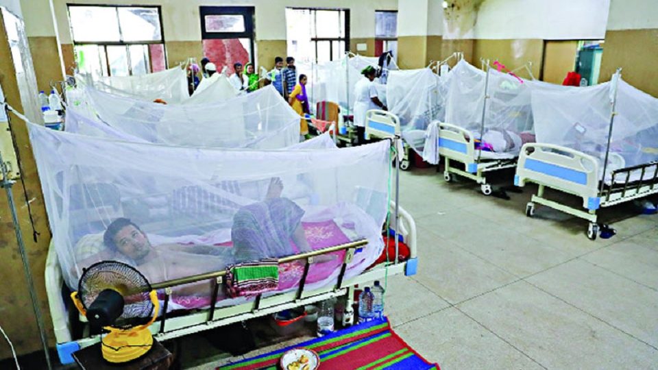 ডেঙ্গু আক্রান্তদের প্লাটিলেট গ্রহণের সংখ্যা বেড়েছে ২ থেকে ৫ গুণ