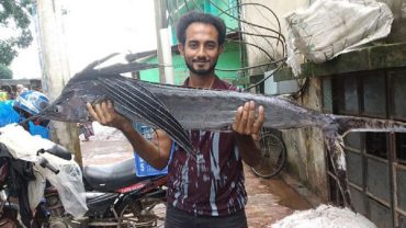 সাগরে মিললো বিরল প্রজাতির মাছ