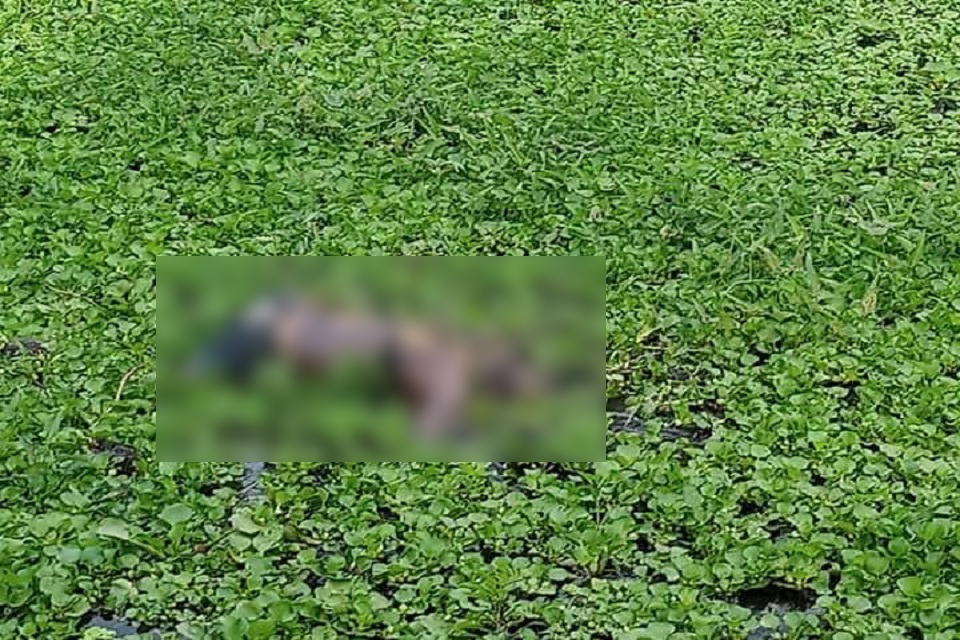 মির্জাপুরে পুকুর থেকে অজ্ঞাত যুবকের লাশ উদ্ধার