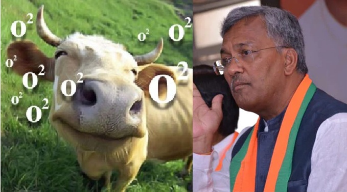 গরু অক্সিজেন ত্যাগ করে, কাছে থাকলে যক্ষা সারে: উত্তরাখণ্ডের মুখ্যমন্ত্রী