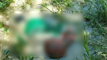 ডোবায় ভাসছে  অজ্ঞাত যুবকের লাশ