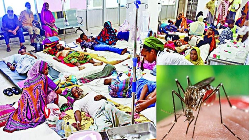 খুলনায় ডেঙ্গুতে স্কুল ছাত্রসহ ২ জনের মৃত্যু