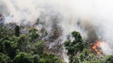 পুড়ছে ‘পৃথিবীর ফুসফুস’ আমাজন, বড় বিপর্যয়ের আশঙ্কা
