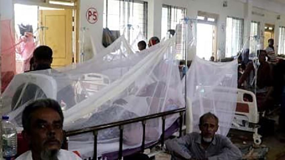 ফেনীতে নতুন ডেঙ্গুরোগী ২৮ জন, চিকিৎসাধীন ৭৫ জন