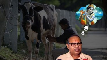 কৃষ্ণের মতো বাঁশি বাজালে গরু বেশি দুধ দেয়, দাবি বিজেপি নেতার
