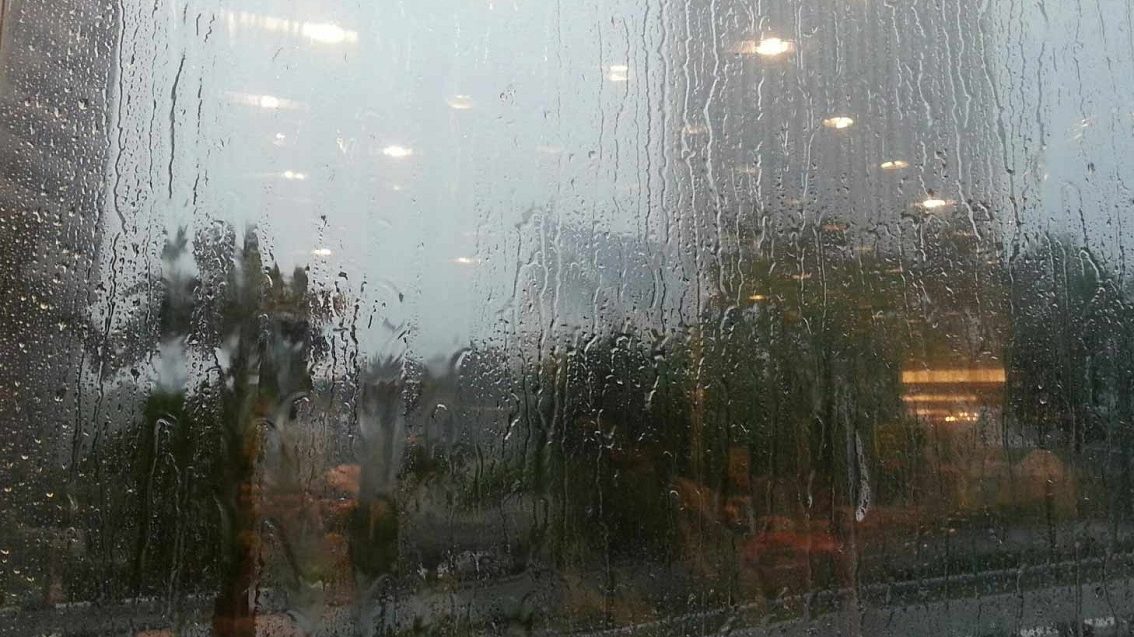 আগামী কয়েকদিন বৃষ্টিপাত থাকবে