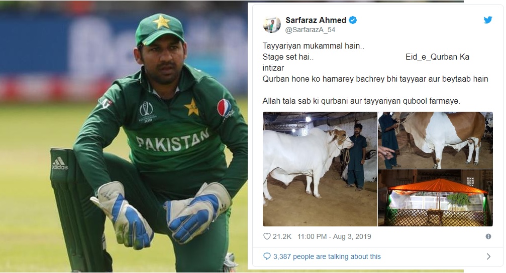 কোরবানির গরুর ছবি পোস্ট করে ভারতীয়দের সমালোচনার মুখে সরফরাজ