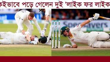 লাইক ফর লাইক সাবস্টিটিউশন কী?