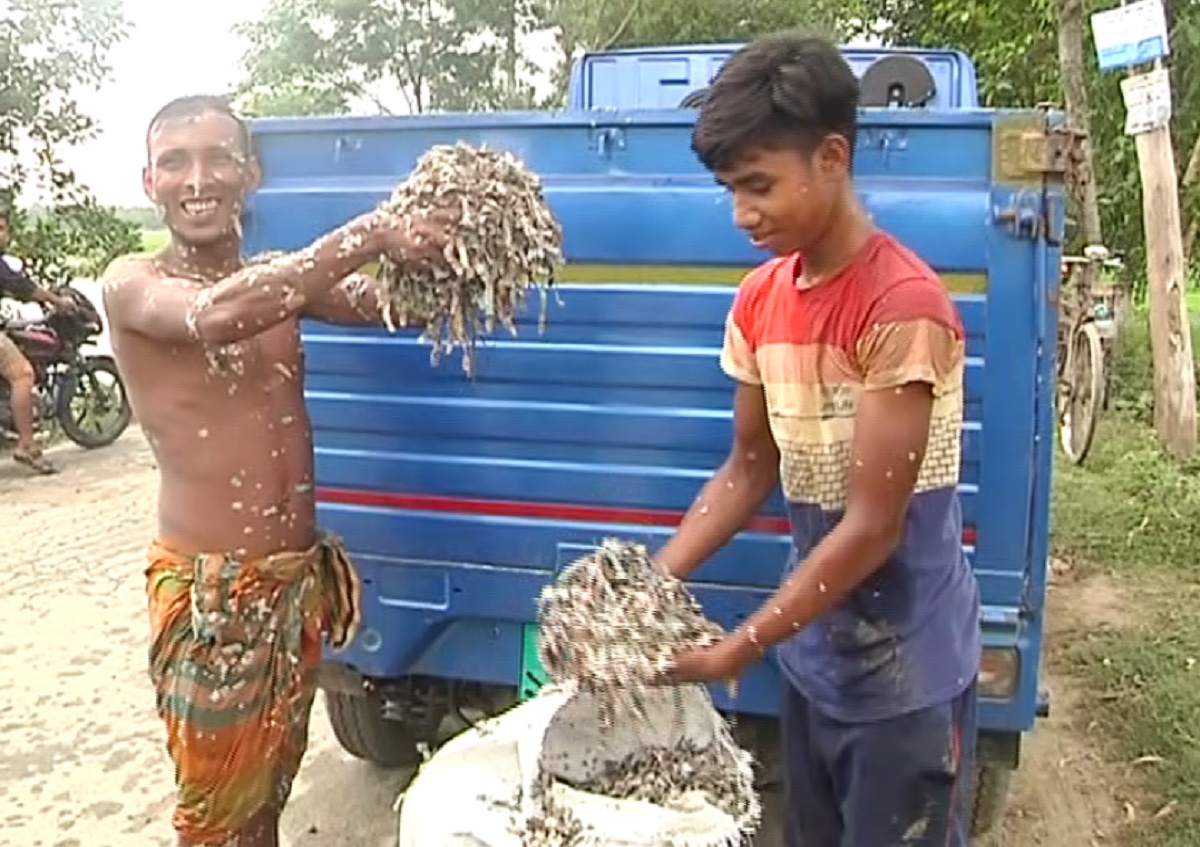 বিলের পানিতে কুচি কুচি করে কাটা ৬ বস্তা টাকা!