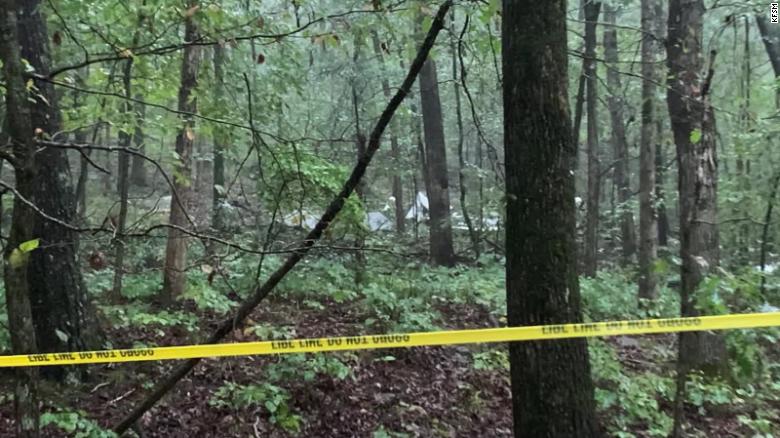 পাইলটের আসনে কিশোর, জঙ্গলে বিধ্বস্ত হলো বিমান