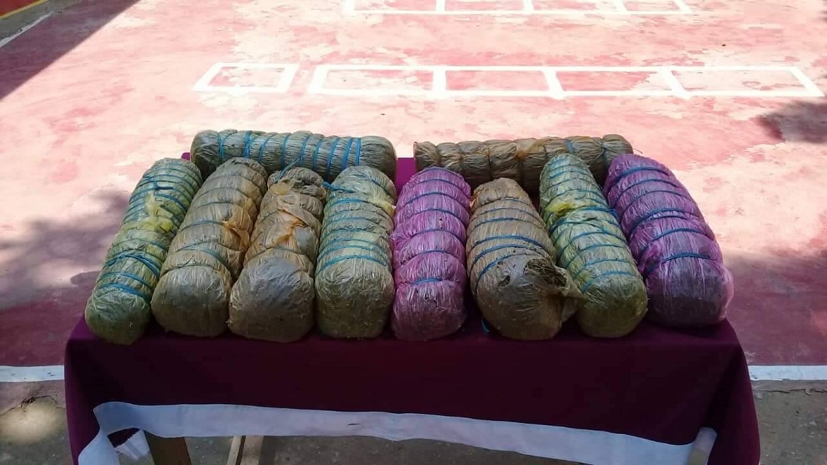 কোলবালিশের ভেতরে গাঁজা!