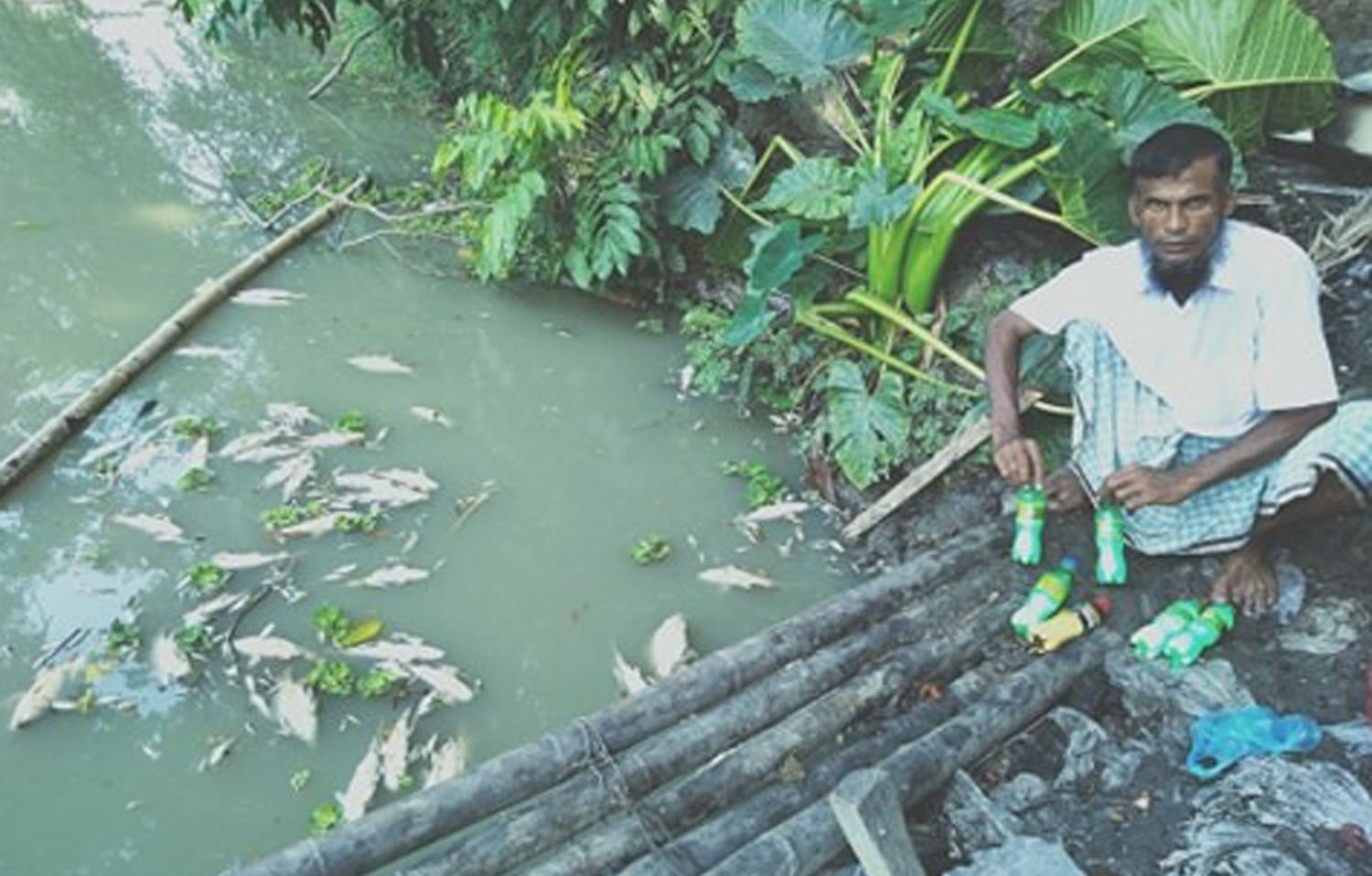 কৃষকের পুকুরে বিষ ফেলে ৩ লাখ টাকার মাছ নিধন