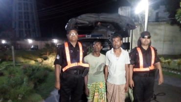 নাটোরে গাঁজা চাষের সন্ধান পেলো র্যাব