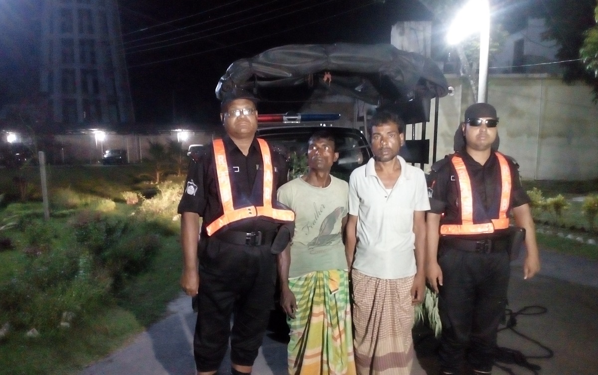 নাটোরে গাঁজা চাষের সন্ধান পেলো র্যাব