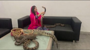 সাপ-কুমির নিয়ে ভারতীয়দের ওপর হামলার হুমকি পাক অভিনেত্রীর!