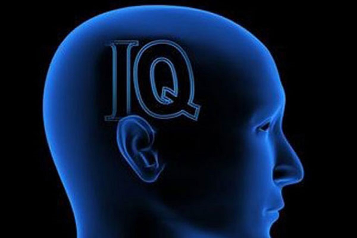 কী করে চিনবেন বুদ্ধিমান মানুষ?