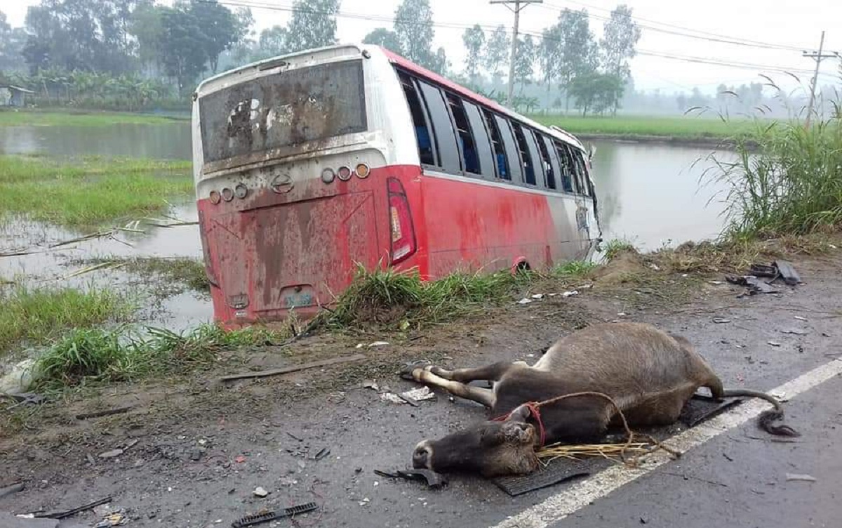 বাস-ট্রাকের মুখোমুখি সংঘর্ষে ২ গরু ব্যবসায়ী নিহত
