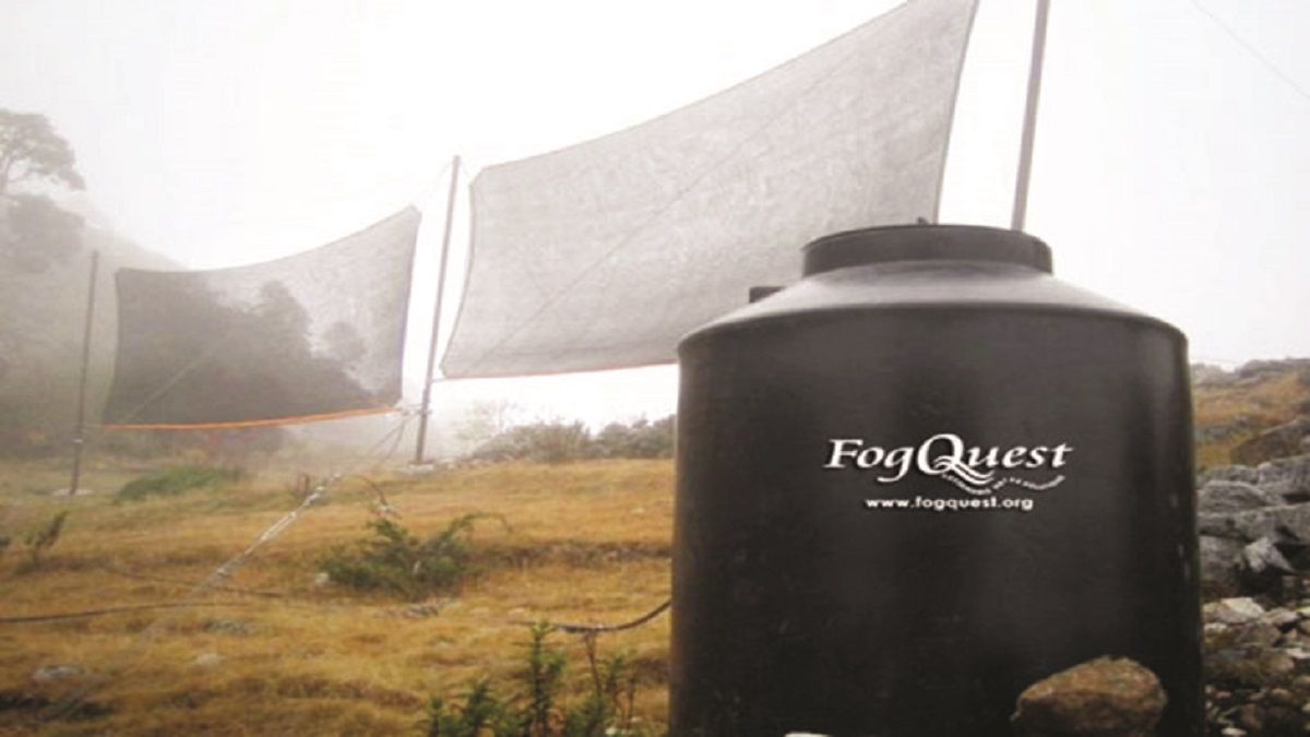 কুয়াশার পানিতে মরুর বুকে চাষাবাদ