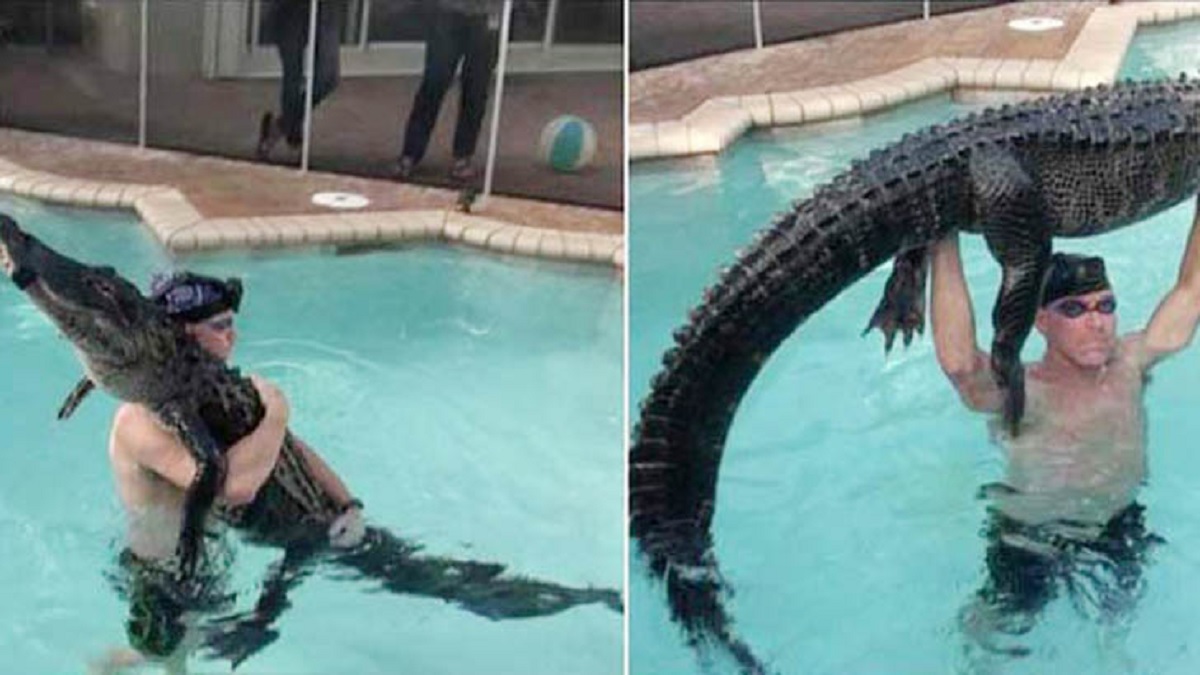 খালিহাতে ৯ ফুট কুমির ধরে সোশ্যাল মিডিয়ায় ঝড়!