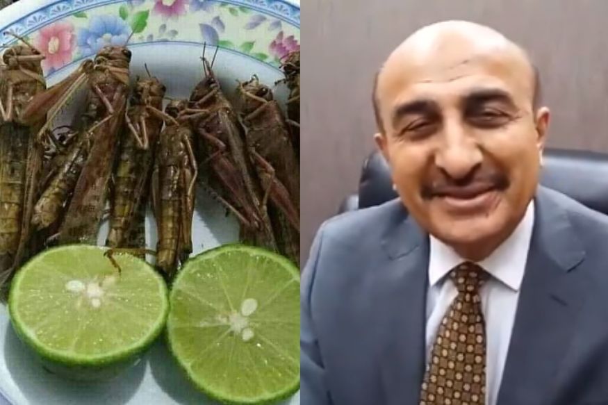 করাচিতে পঙ্গপালের আক্রমণ, বিরিয়ানির সাথে খাওয়ার পরামর্শ পাক মন্ত্রীর!