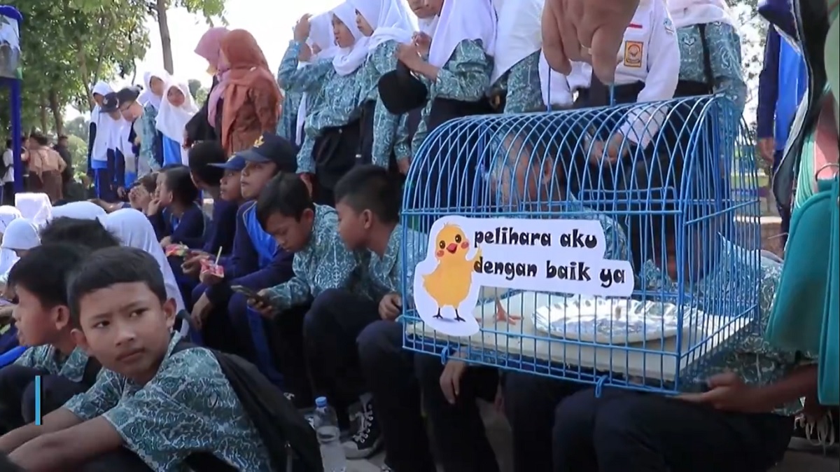 শিশুদের স্মার্টফোন আসক্তি কমাতে মুরগির বাচ্চা বিতরণ!