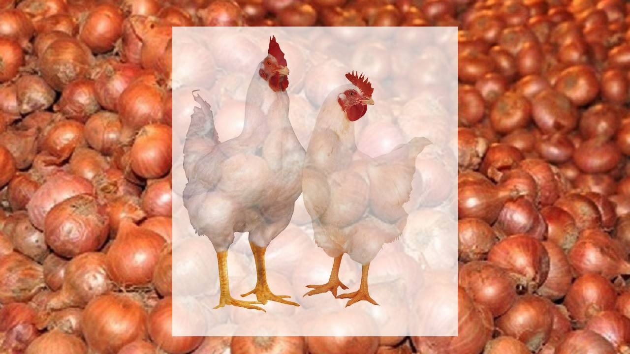 ১ কেজি পেঁয়াজের দামে মিলছে ২ কেজি মুরগি